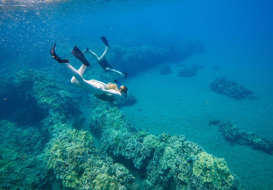 From Maalaea: Turtle Town 3-Hour Snorkel and Sail Adventure - What the $139 price really covers