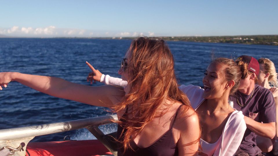 From Maalaea: Whale Watching Catamaran Cruise with Drinks - Food, drinks, and the practical comfort level