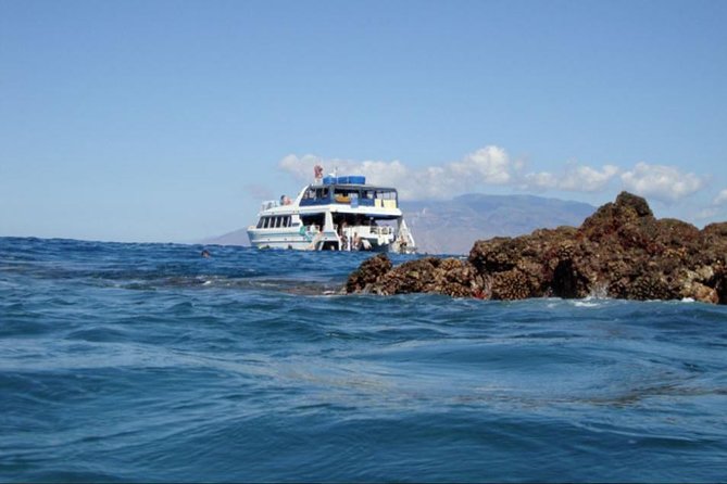From Maalaea: Whale Watching Tour Aboard the Quicksilver - Booking details that can save you trouble