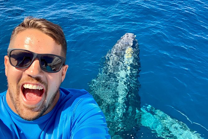From Maalaea: Whale Watching Tour Aboard the Quicksilver - The two-hour search for humpbacks