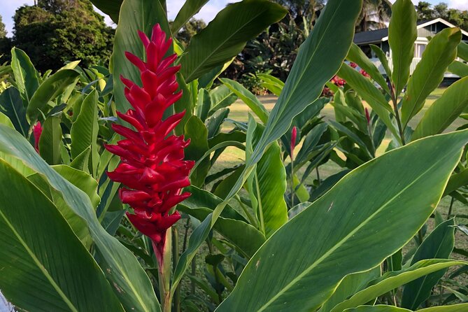 Full-Circle "Reverse" - Luxury Road to Hana Tour from South Maui - Hana Town gives the route its name