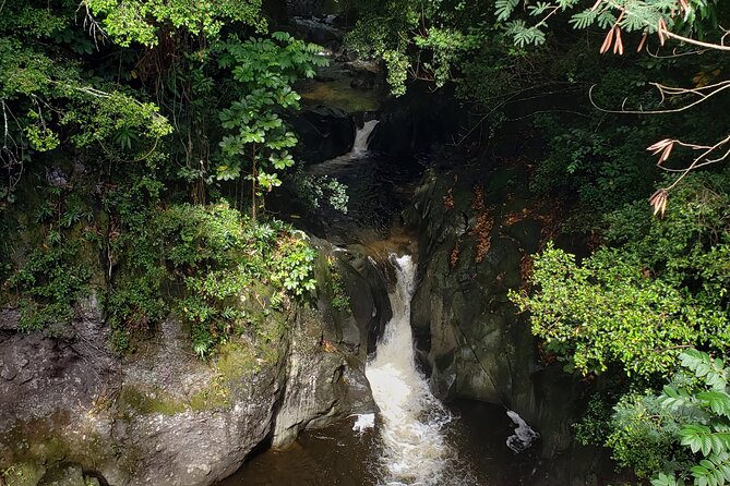 Full-Circle "Reverse" - Luxury Road to Hana Tour from South Maui - Wailua Falls brings the first big payoff