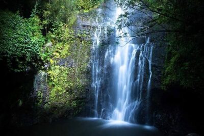 Full Day Private Maui Waterfall, Beach & Hana Tour