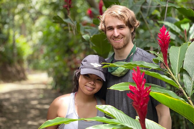 Full-Day Road to Hana and Waterfall Tour - Wai‘anapanapa is the day’s major coastal stop