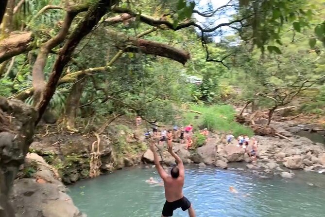 Full-Day Road to Hana and Waterfall Tour - Pua‘a Ka‘a offers a wet finish