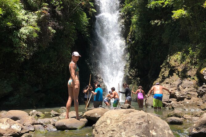 Full-Day Road to Hana and Waterfall Tour - Who will enjoy this tour most