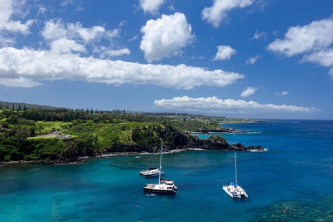 Fun & Affordable! West Maui Open-Air Sightseeing Tour! - Kapalua Resort and the coastal road