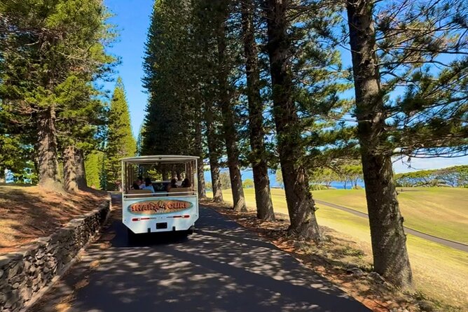 Fun & Affordable! West Maui Open-Air Sightseeing Tour! - Is $59 a good value?