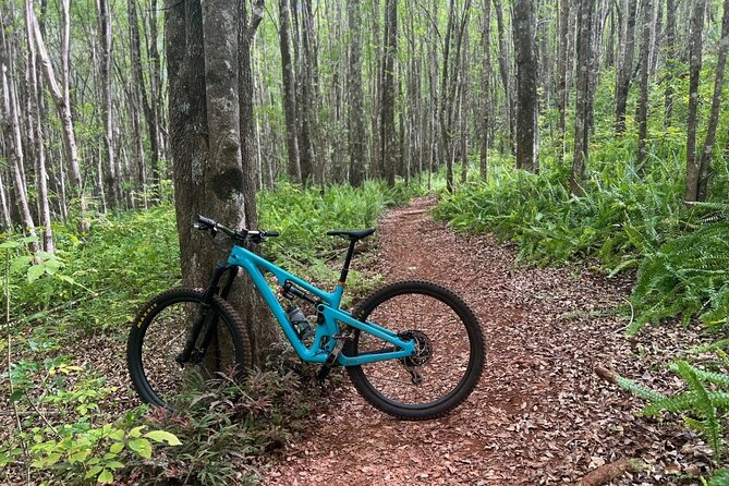 Fun Mountain Bike riding on trails in Maui Hawaii! - Key points to know before you book
