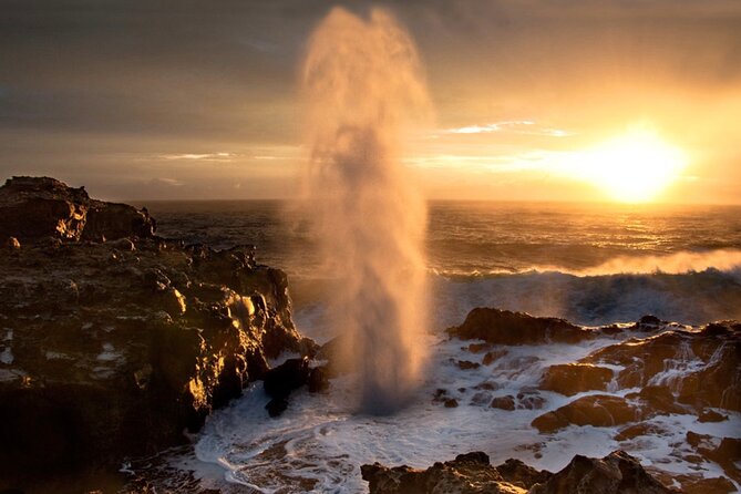 Fun! Open-Air Banyan Tree Forest & Blowhole Sight-Seeing MauiTour - Key points at a glance