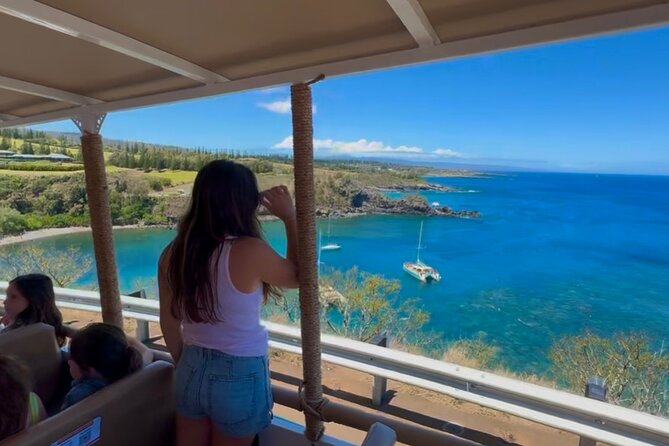 Fun! Open-Air Banyan Tree Forest & Blowhole Sight-Seeing MauiTour - The West Maui Mountains from an easy viewpoint