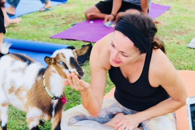 Goat Yoga with Miniature Goats In Maui - The Kula Views and the Morning Timing
