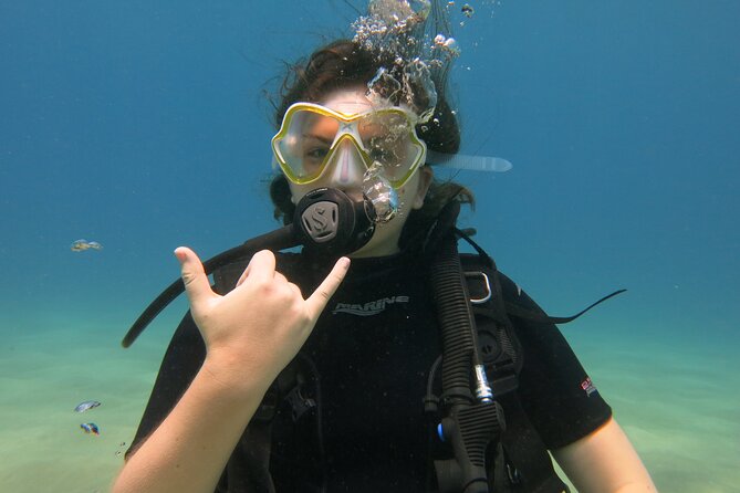 Guided Scuba Dive in Lahaina: Certified - Why a Small Group Changes the Experience