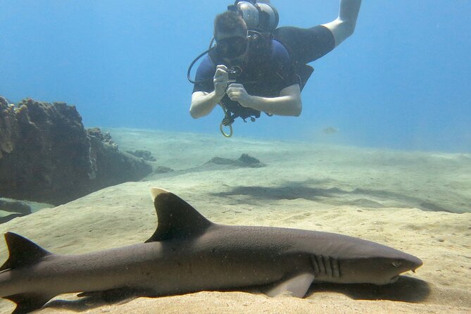 Guided Scuba Dive in Lahaina: Certified - A Typical Two-Hour Schedule