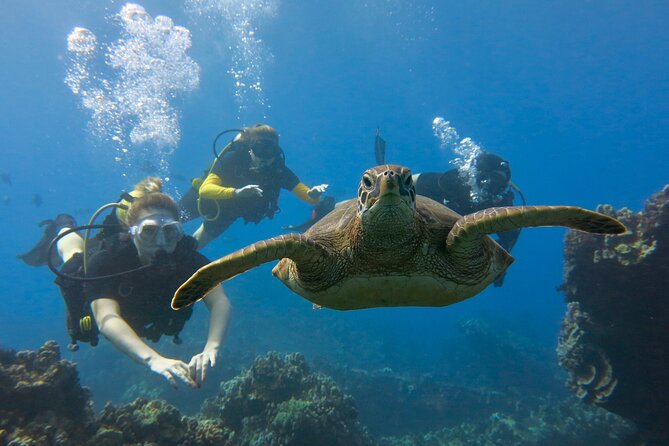 Guided Scuba Dive in Lahaina: Certified - The 18-Hour Flying Rule