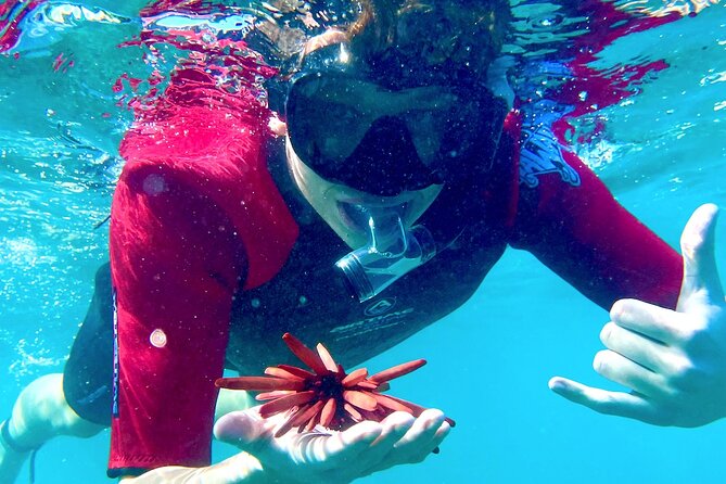Guided Snorkeling for Beginners with Flotation Wetsuit - Key points to know before booking