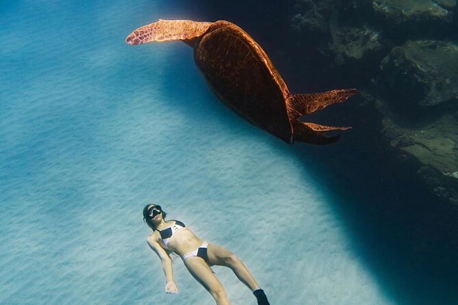 Guided Snorkeling for Beginners with Flotation Wetsuit - What you can expect at Kapalua Beach