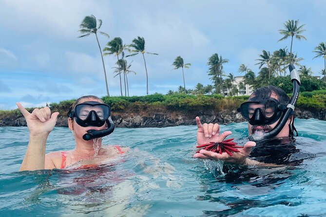Guided Snorkeling for Beginners with Flotation Wetsuit - Small details that make the outing work