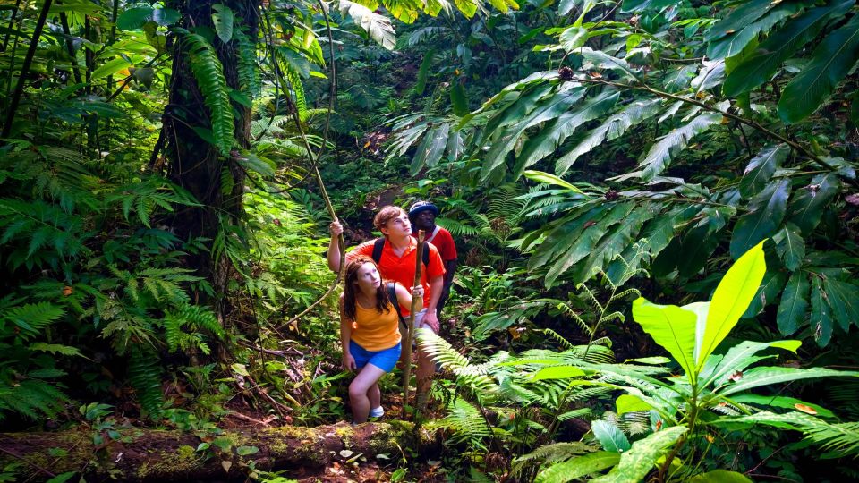 Haiku: Waterfall, Rainforest, and Handcrafted Chocolate Tour - Ancient gardens and a link to Hawaiian royalty