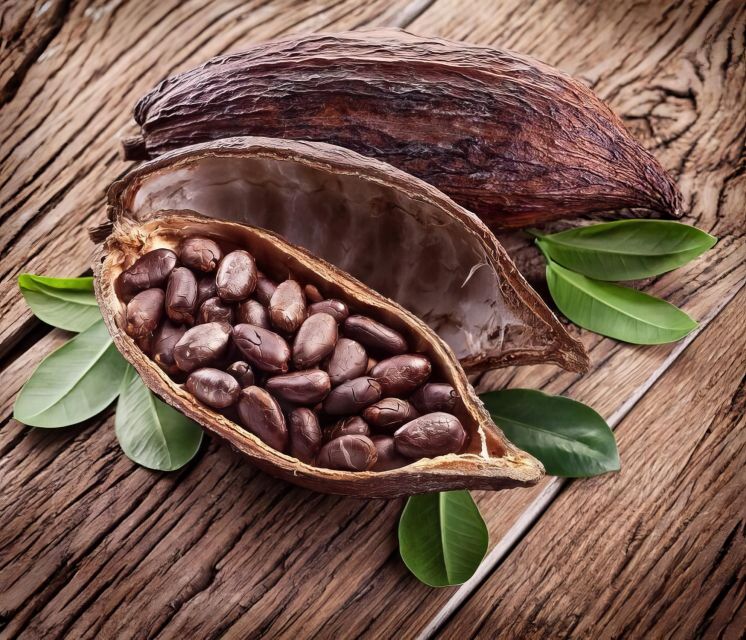Haiku: Waterfall, Rainforest, and Handcrafted Chocolate Tour - Is $128 a fair price?