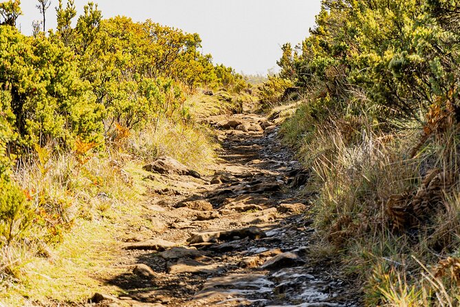 Haleakala Crater Hiking Experience - Cinder cones, rare plants, and quiet trails