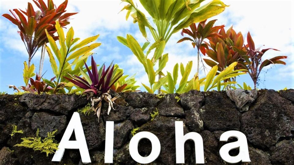 Haleakala Daytime Self-Guided Express Bike Tour w/ Bike Maui - Riding from Upcountry toward the North Shore