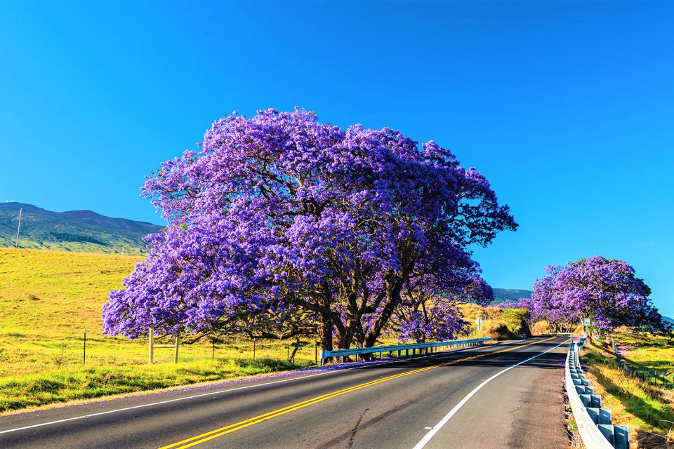 Haleakala Daytime Self-Guided Express Bike Tour w/ Bike Maui - What the five-hour price includes