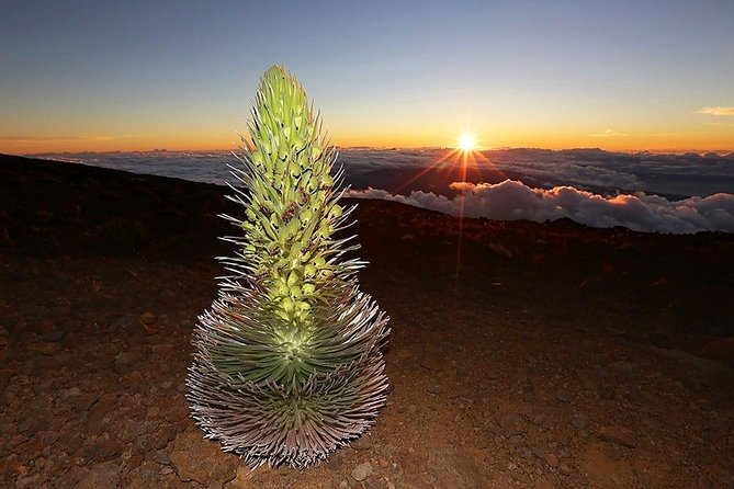 Haleakala Maui Sunset Twilight Tour with Dinner - The summit overlook and volcanic crater