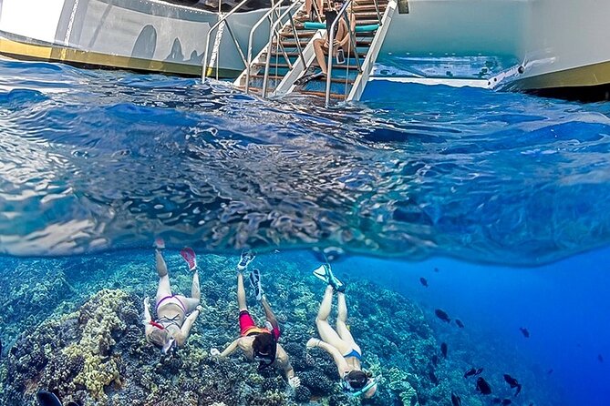 Half-Day Deluxe Molokini Snorkel Excursion in Maui - Is $309 a Fair Price?