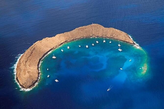 Half-Day Deluxe Molokini Snorkel Excursion in Maui - Who Should Book This Molokini Cruise?