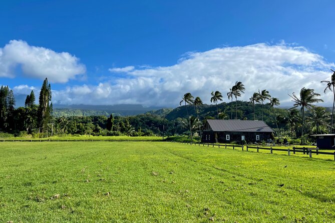 Half Day Private VIP Road to Hana Tour - Waikamoi Ridge adds a short walk and a waterfall view