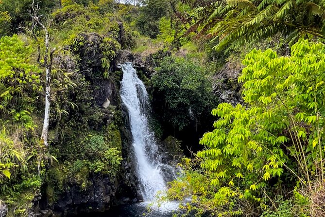 Half Day Private VIP Road to Hana Tour - Waiʻānapanapa’s black sand beach is the grand finale
