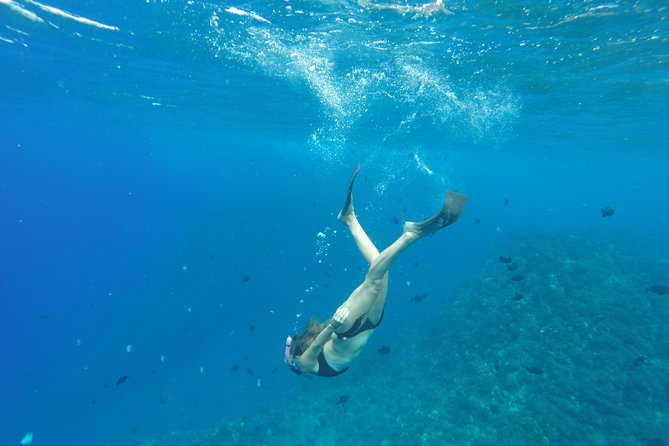 Half Day Snorkel to Lanai from Kaanapali Beach + Dolphin Search - Why Lanai makes a better half-day target for some people