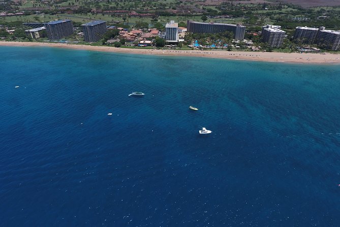Half Day Snorkel to Lanai from Kaanapali Beach + Dolphin Search - Who will enjoy this Lanai snorkel most