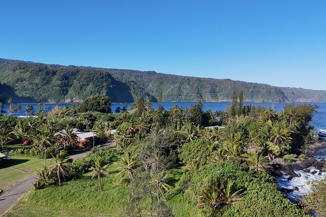 Halfway Road to Hana - Small Group — Taste of Hana & Waterfalls - Keanae Point, taro fields, and banana bread
