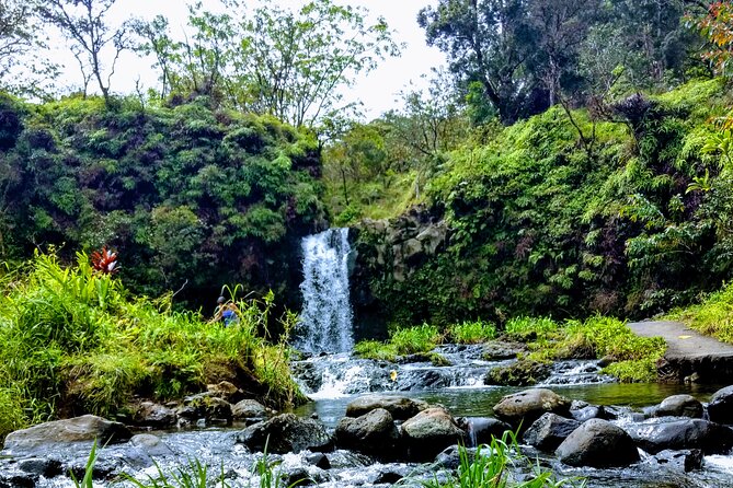 Halfway to Hana Tour of Maui Black Sand Beach Waterfalls Turtles - Starting in Kahului with a careful driver