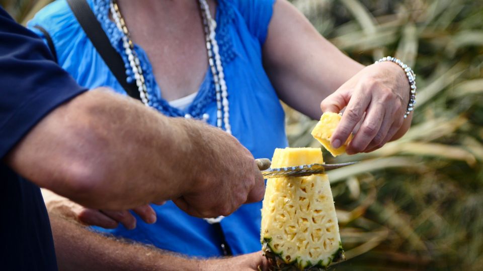Hali'imaile: Pineapple Farm Tour - Walking through the pineapple grove