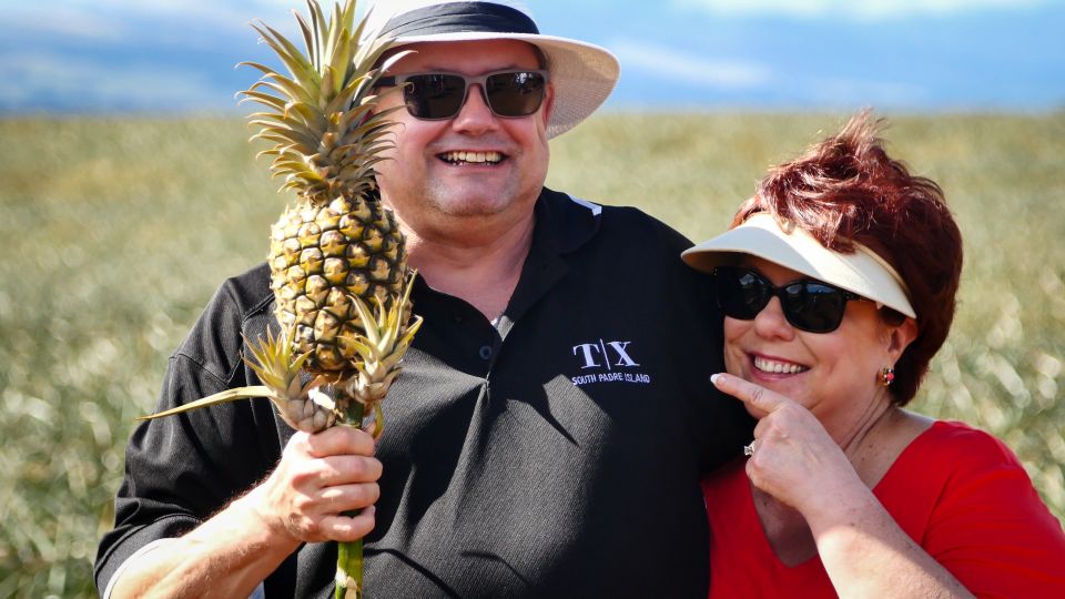 Hali'imaile: Pineapple Farm Tour - Starting at the Maui Pineapple Store