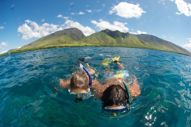 Hawaiian Outrigger Canoe Cultural and Turtle Tour - What the $155 price really covers