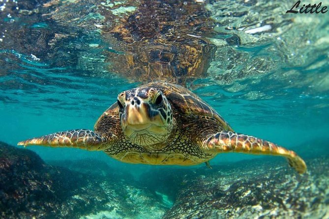 Hawaiian Outrigger Canoe Cultural and Turtle Tour - Launching from Wailea Beach
