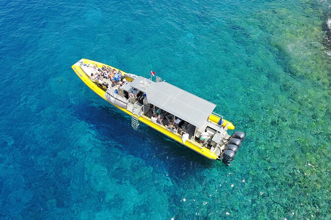 HIGH QUALITY Whale Watch Adventure Aboard Luxury Super Raft - The crew: spotting skill matters more than showmanship