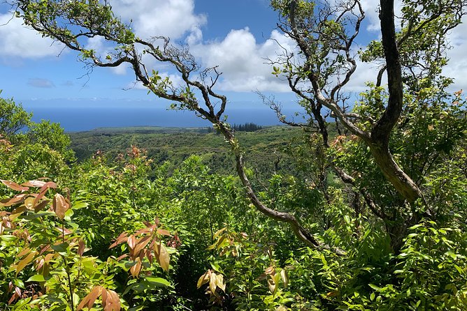 Hike Honolua Ridgeline - Why this ridgeline hike feels different