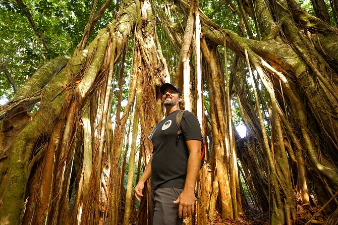Hike Honolua Ridgeline - A relaxed pace, not a strenuous workout