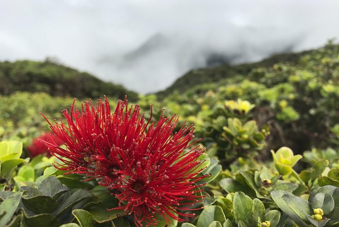 Hike Honolua Ridgeline - Is the price good value?