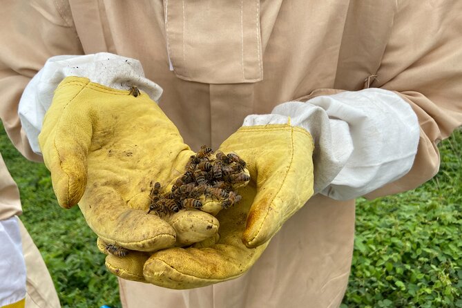 Honey Bee Adventure at the Maui Honey Bee Sanctuary - Who will enjoy this most?