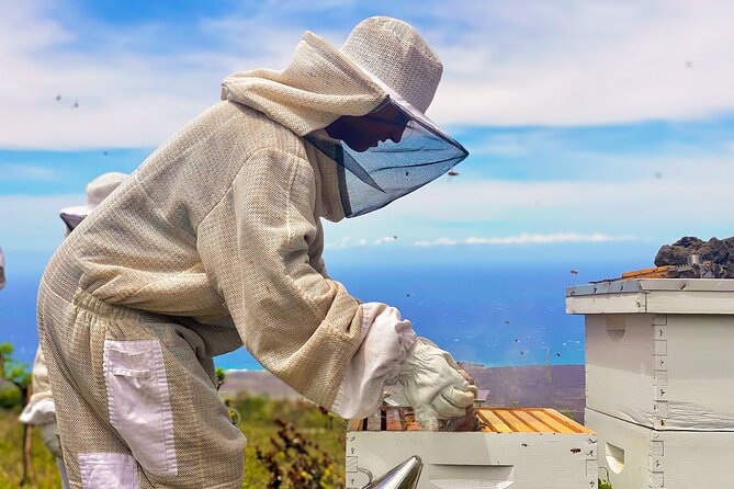 Honey Bee Adventure at the Maui Honey Bee Sanctuary - Why the live hive matters
