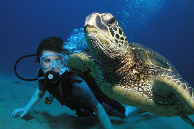 Intro/Refresher Dive Swim Ability Required - Your first Maui scuba experience, kept small and personal