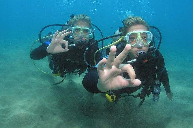 Intro/Refresher Dive Swim Ability Required - What happens before you enter the water