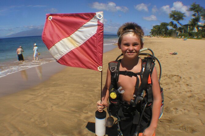 Intro/Refresher Dive Swim Ability Required - The possible turtle and shark outing afterward