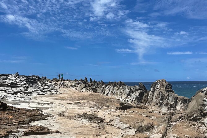 Island of Maui Customized Half Day Tour - Key points to know before booking